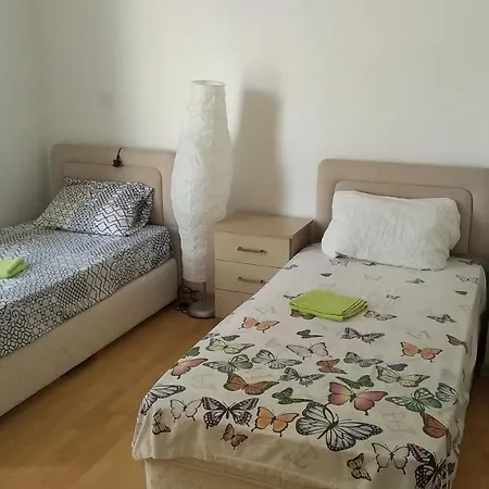 Stylish Luxury Flat In Center Of *